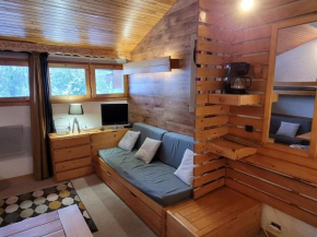 Studio fonctionnel proche des pistes - FR-1-181-2702